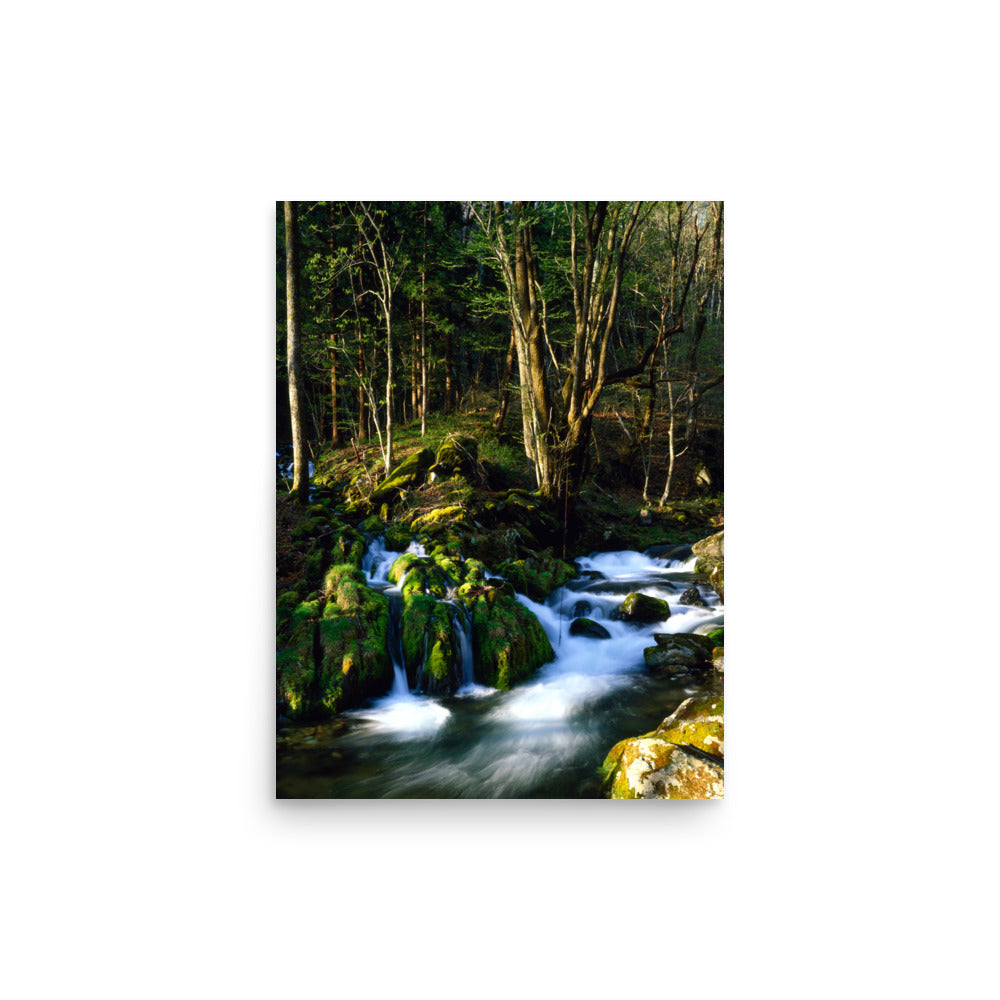 Fine art photograph of a mossy stream flowing through a quiet forest in Kamaishi, Iwate, Japan.