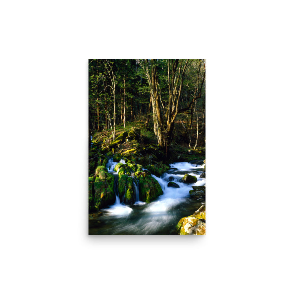 Fine art photograph of a mossy stream flowing through a quiet forest in Kamaishi, Iwate, Japan.
