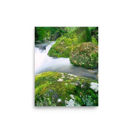 Moss-covered boulder surrounded by clear flowing water in the Kitamata River, Iwate, Japan.
