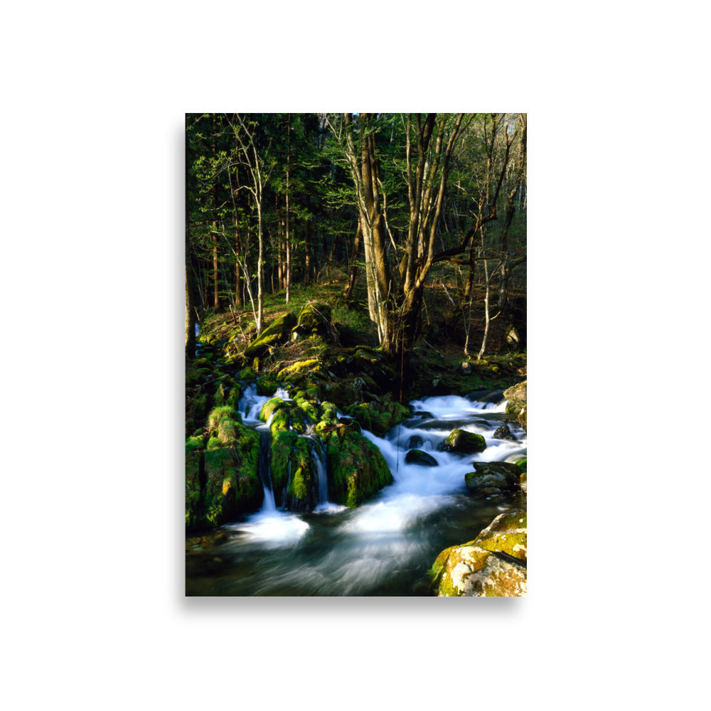 Fine art photograph of a mossy stream flowing through a quiet forest in Kamaishi, Iwate, Japan.